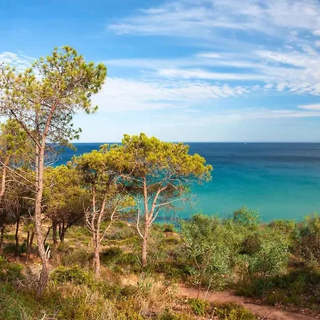 Apartment In Pula Sardinien Cagliari Provinz 43440